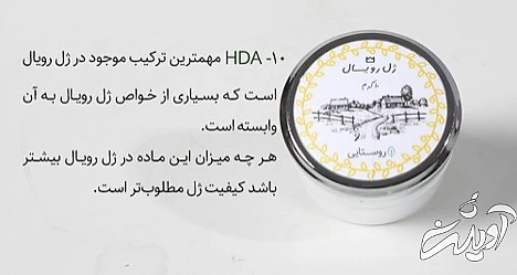 آشنایی با ژل رویال و 12 خاصیت بی نظیر این فرآورده زنبور عسل